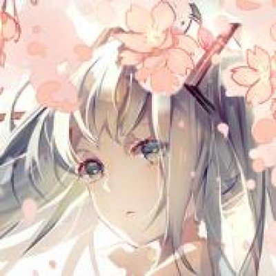 张凌赫的商务汇总